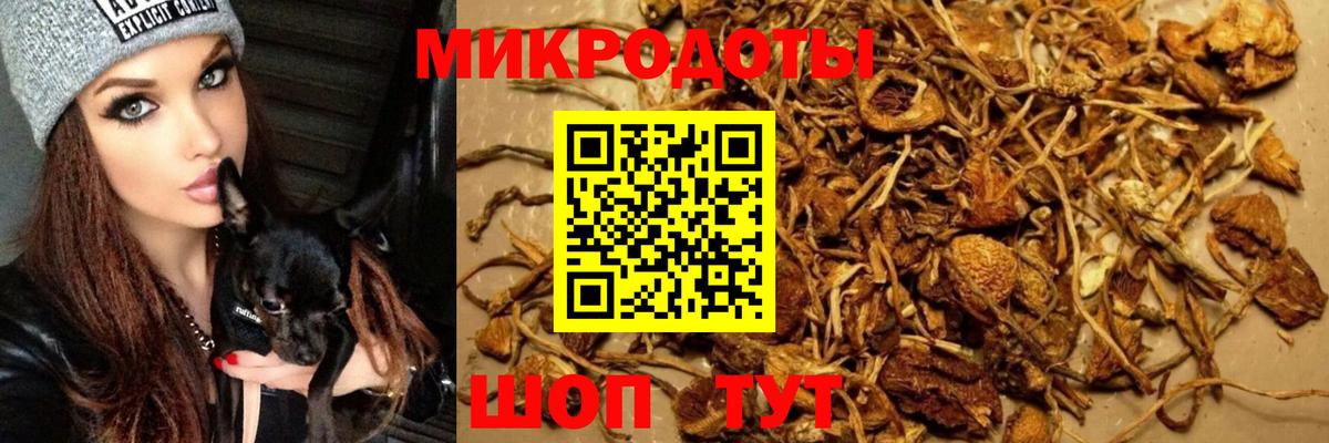 Галлюциногенные грибы MAGIC MUSHROOMS  Вход с VPN  Владивосток 